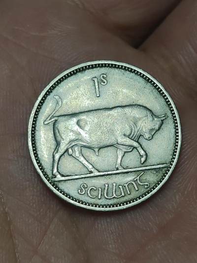 2026年第三场(总第一百七十二场）外国好品散币场(免佣金) - 爱尔兰🇮🇪1955年1先令(共和国时期第一套第二版)