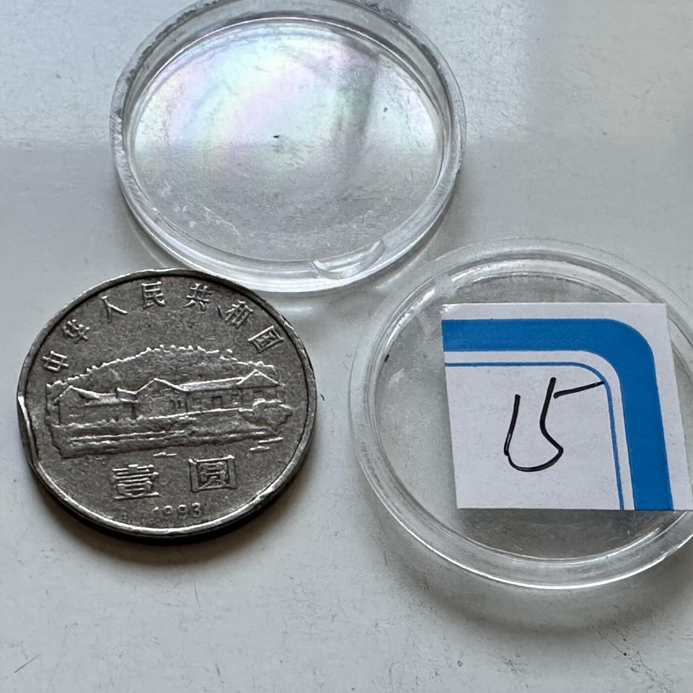 🌹外币初藏🌹🐯2026年第3场  每周二四六晚8️⃣点 接代拍 1993年毛泽东纪念币—15