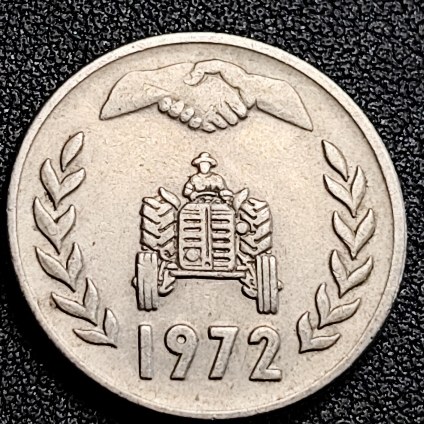 泉币菌-第162场- 新年第五场 精品福利场