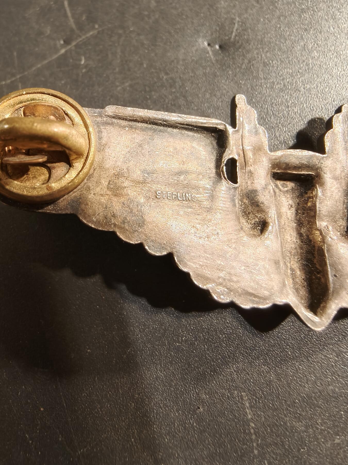 老王徽章第174期 美国空军炮手技能章    3英寸     925银