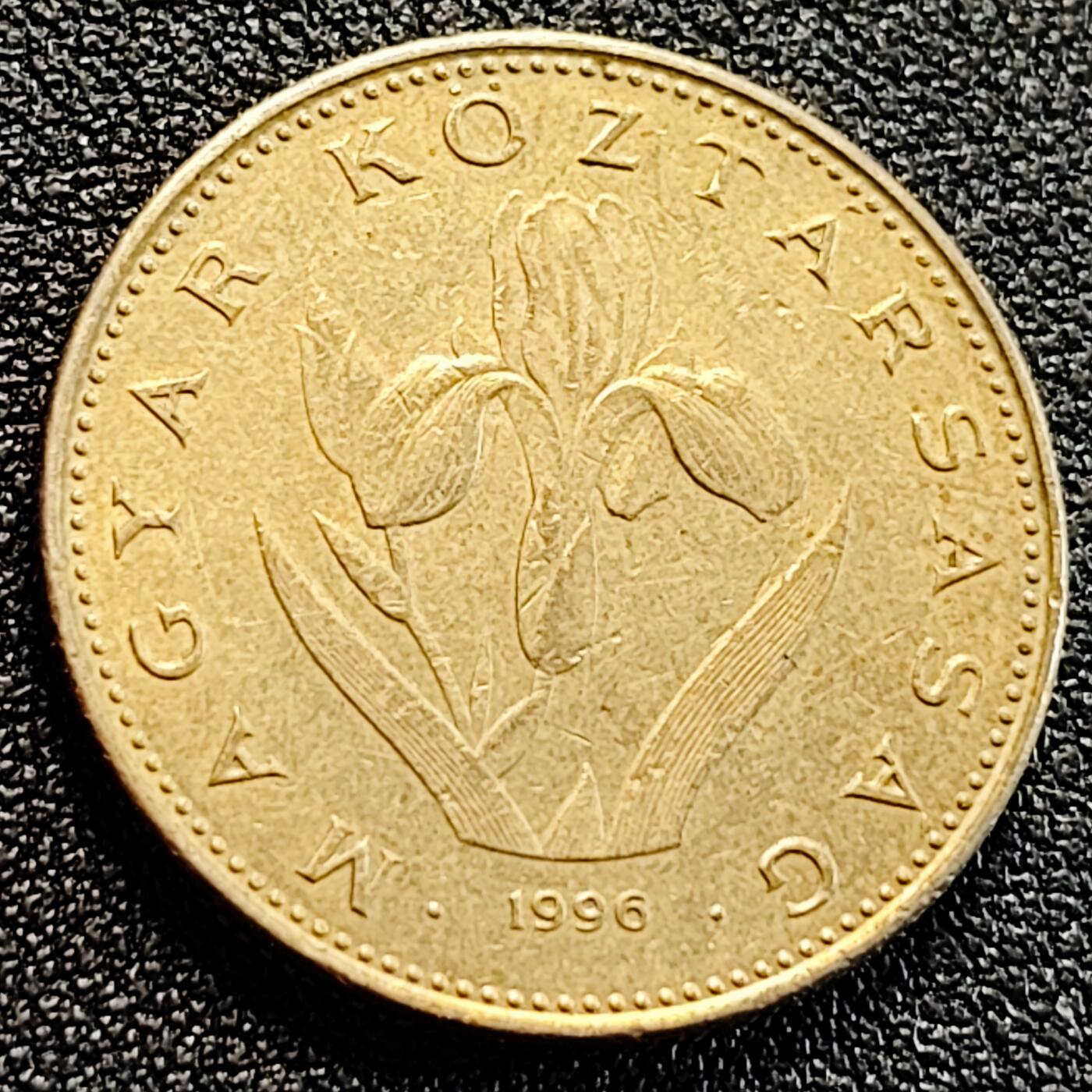 泉币菌-第163场-新年第六场 精品福利场 无叶鸢尾花 匈牙利1996年20福林銅镍锌硬币 26.3毫米 6.9克