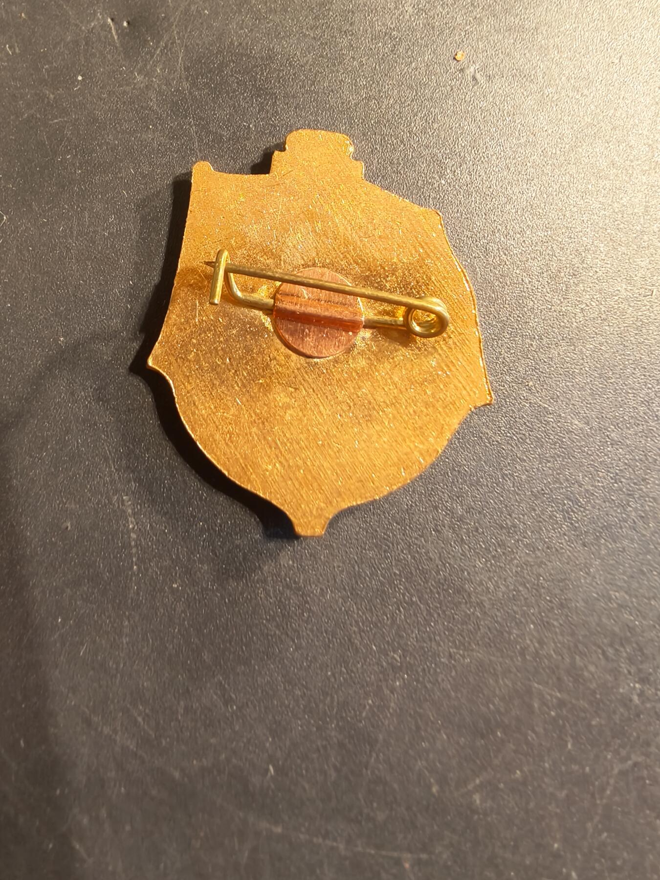 老王徽章第174期 1985年苏联海军941型“鲨鱼”级（北约代号“台风”级）重型战略导弹核潜艇证章