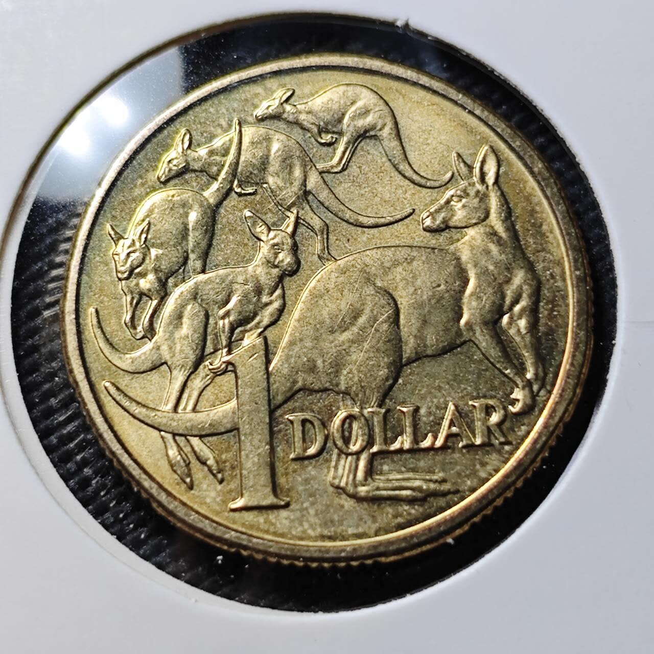 KK钱币收藏小铺  第386期  2月预留时间 周末发货  澳大利亚1元 