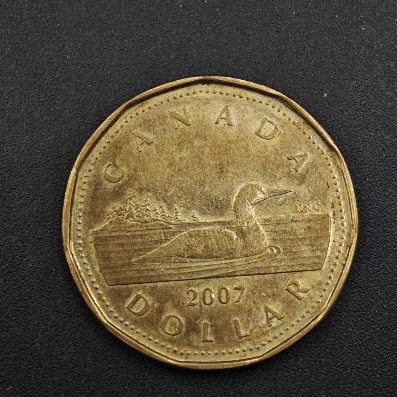 【淘币小摊】实时拍第八百四十一拍   散币批量币场   满百包邮可预留二周 每周一统一发货   加拿大2007年1元铜币