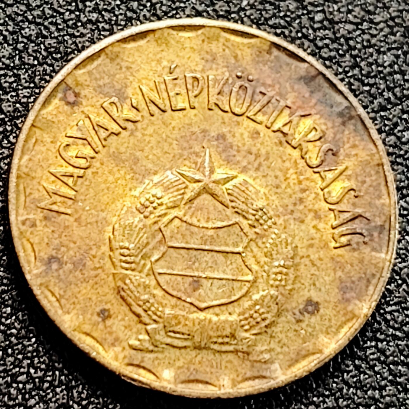 泉币菌-第162场- 新年第五场 精品福利场