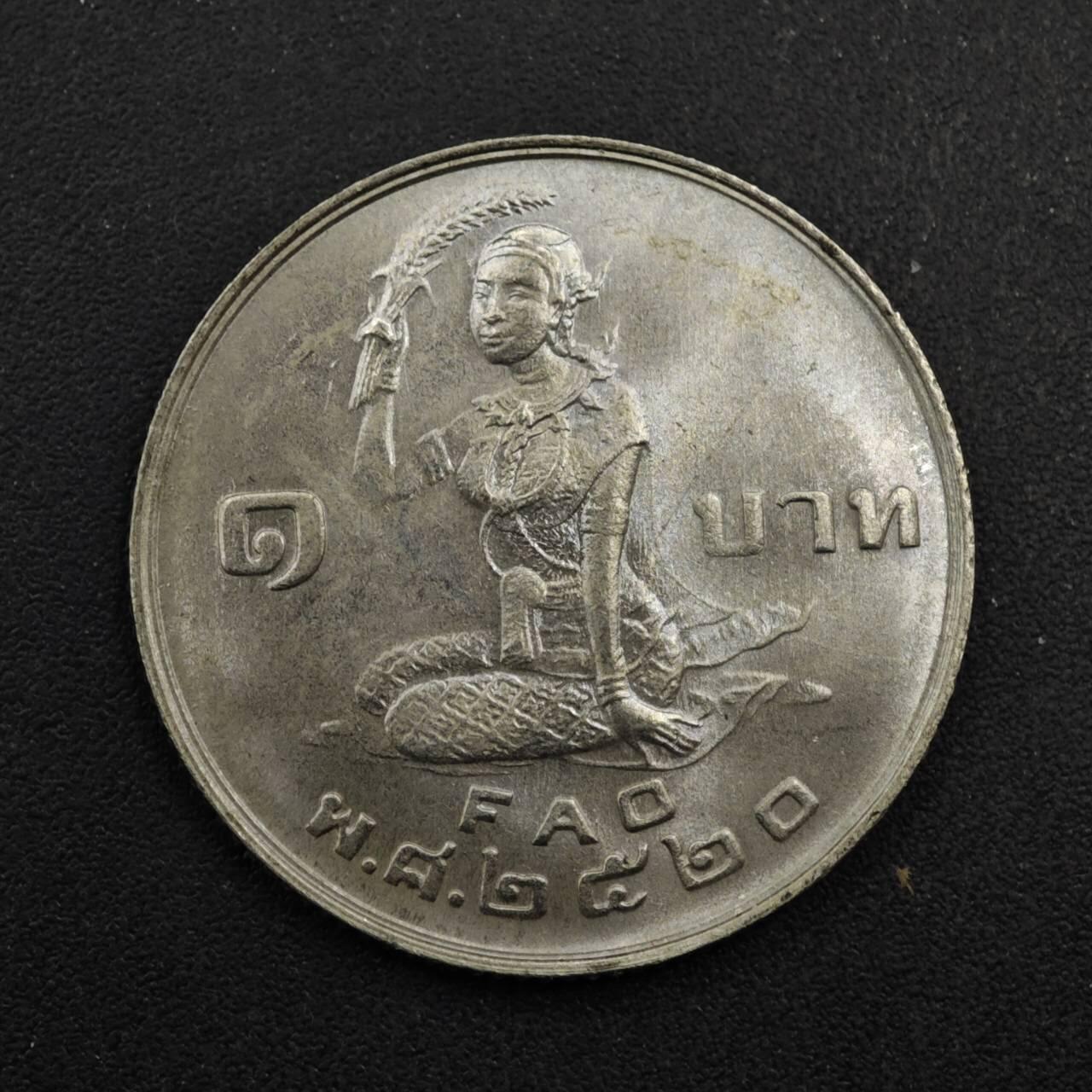 【淘币小摊】实时拍第八百四十一拍   散币批量币场   满百包邮可预留二周 每周一统一发货   泰国1泰铢fao纪念币