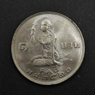 【淘币小摊】实时拍第八百四十一拍   散币批量币场   满百包邮可预留二周 每周一统一发货   - 泰国1泰铢fao纪念币