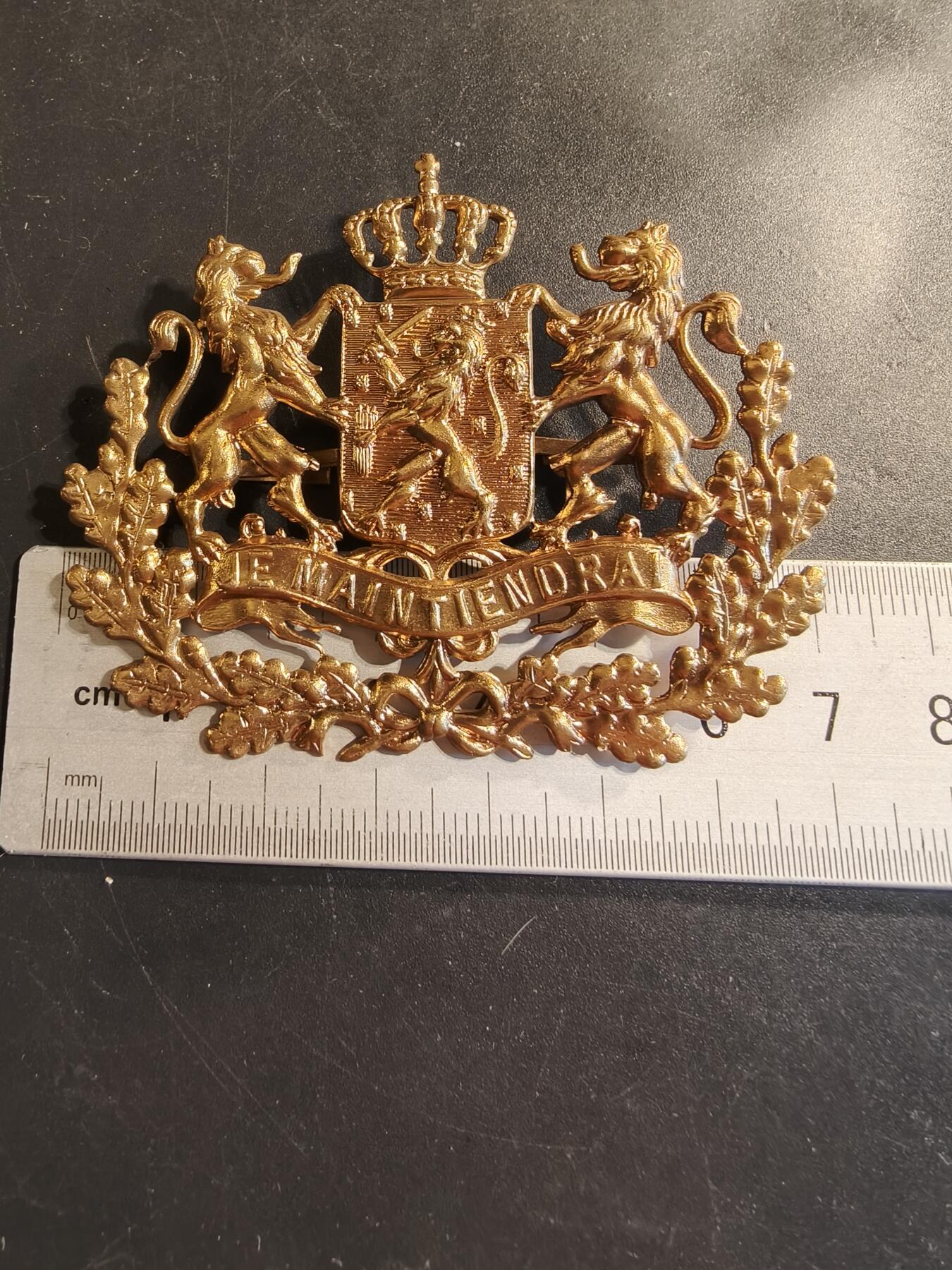 老王徽章第174期 荷兰近卫步兵团头盔帽徽   大尺寸   70mm