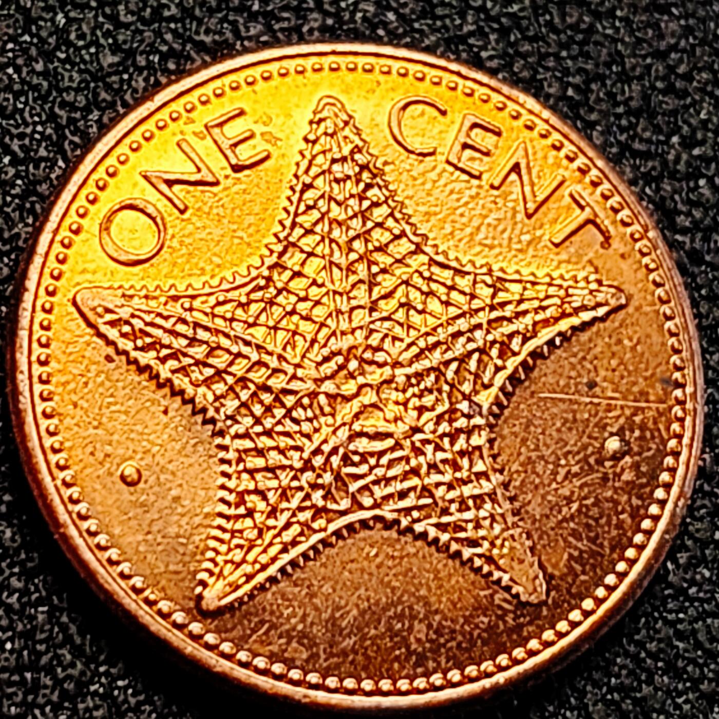 泉币菌-第162场- 新年第五场 精品福利场 原铜光极美 巴哈马1985年1分硬币 早期大版海星 19mm