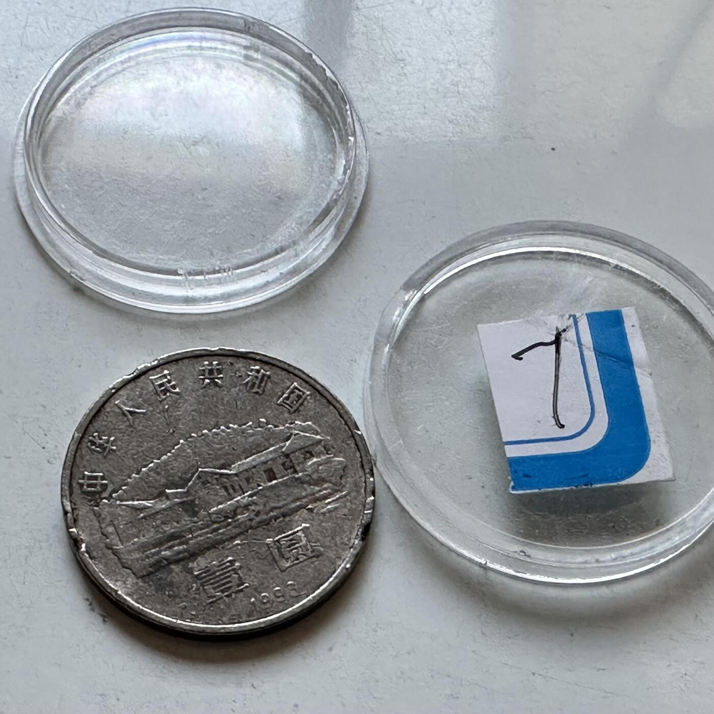 🌹外币初藏🌹🐯2026年第3场  每周二四六晚8️⃣点 接代拍 1993年毛泽东纪念币—7