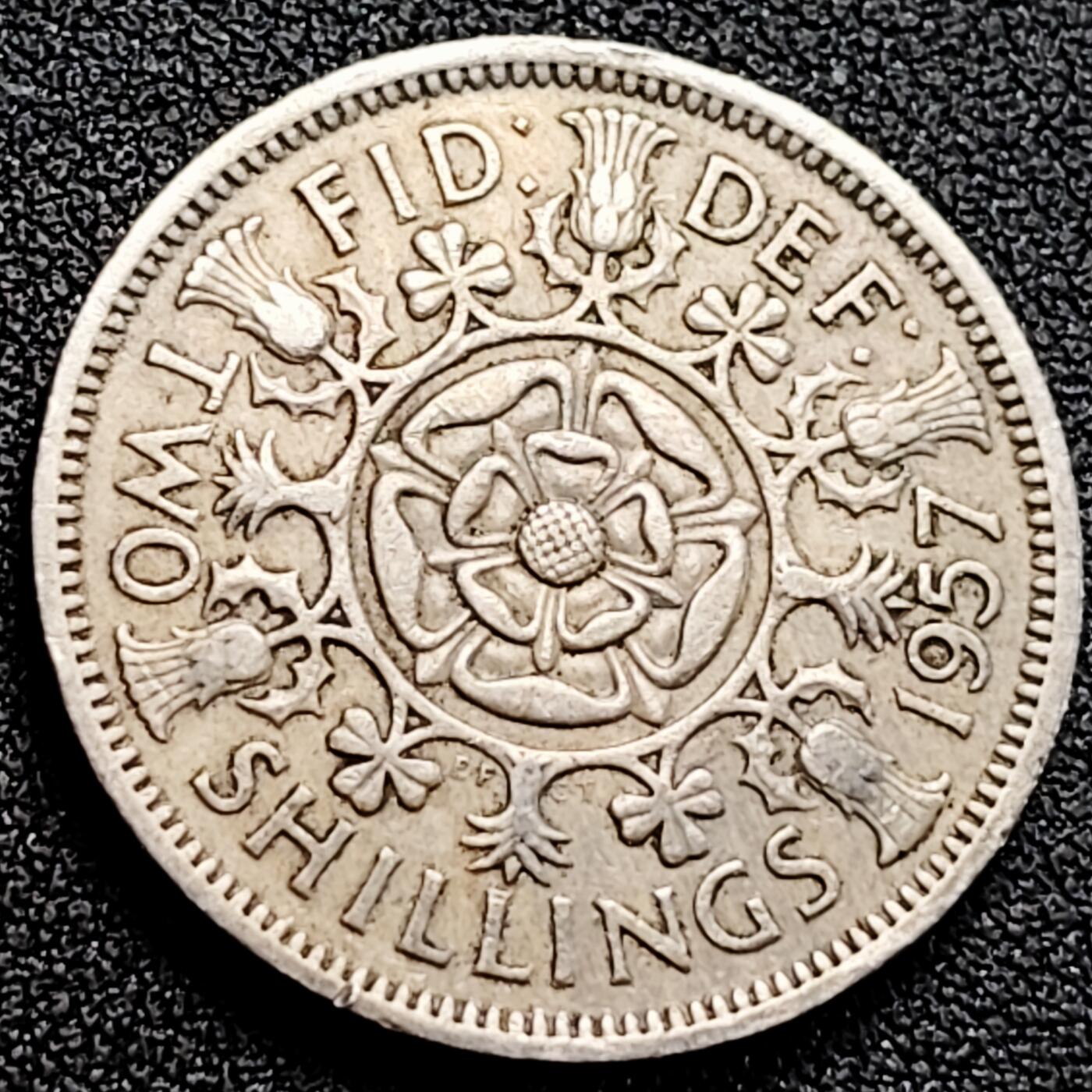 泉币菌-第162场- 新年第五场 精品福利场