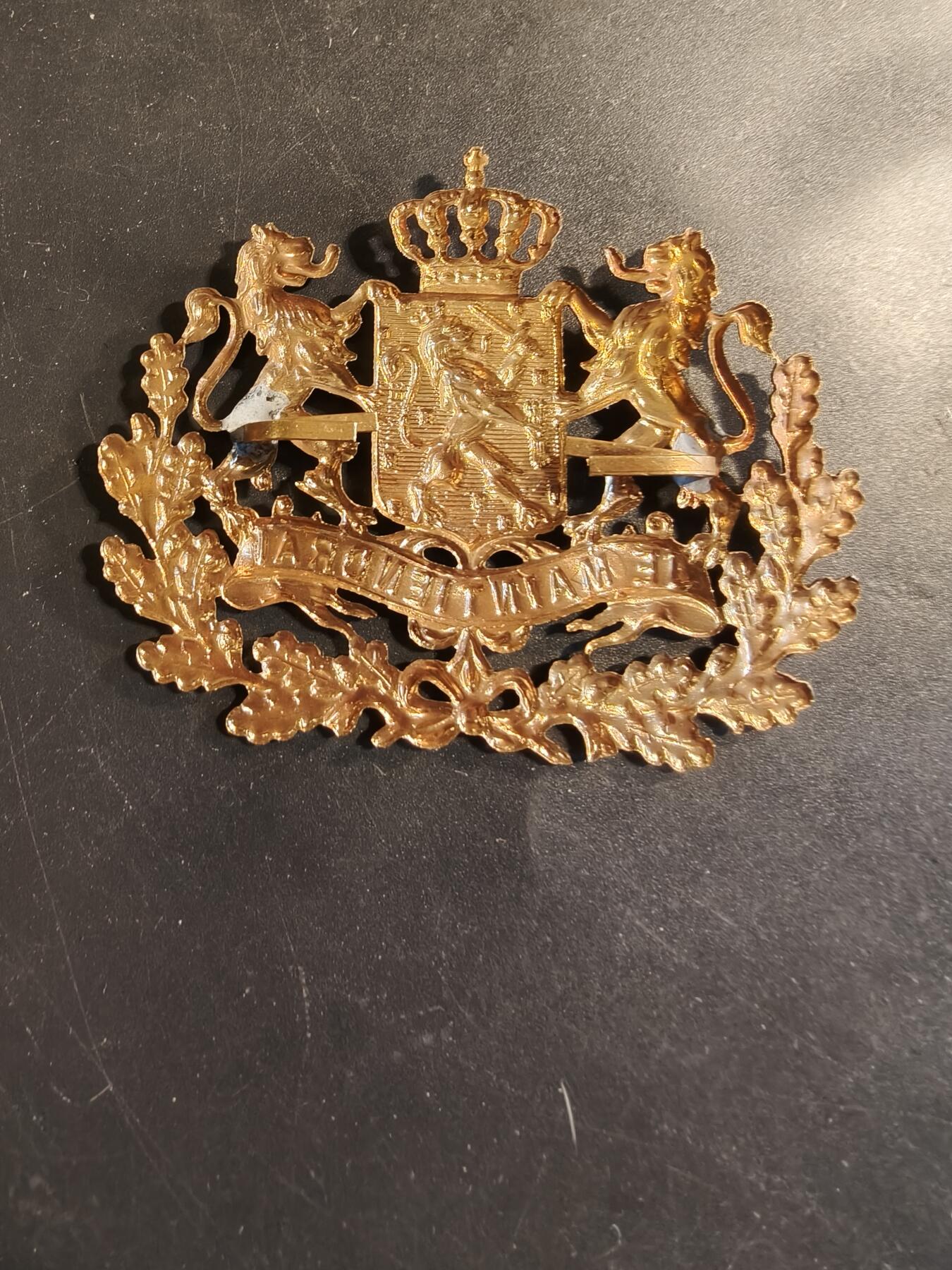 老王徽章第174期 荷兰近卫步兵团头盔帽徽   大尺寸   70mm