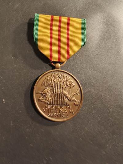 老王徽章第174期 - 美国越战服役奖章