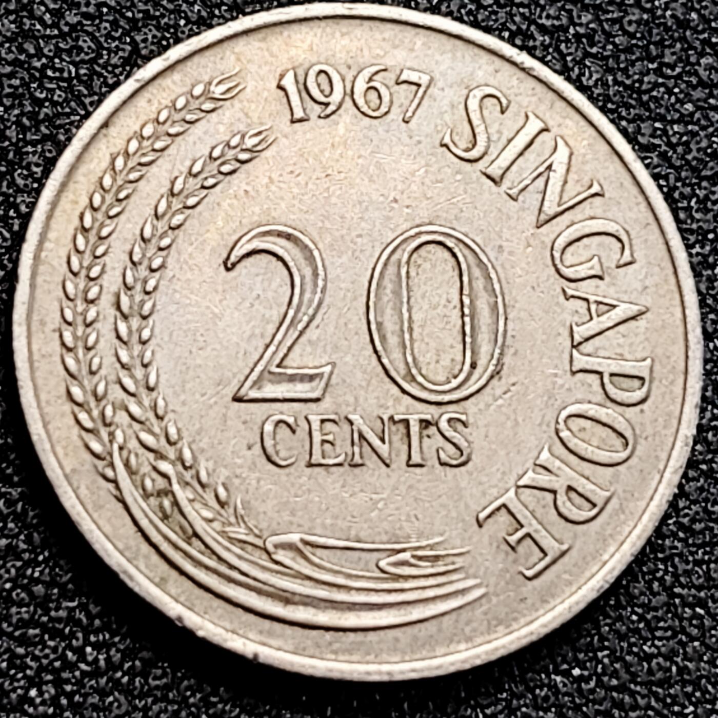 泉币菌-第162场- 新年第五场 精品福利场 。