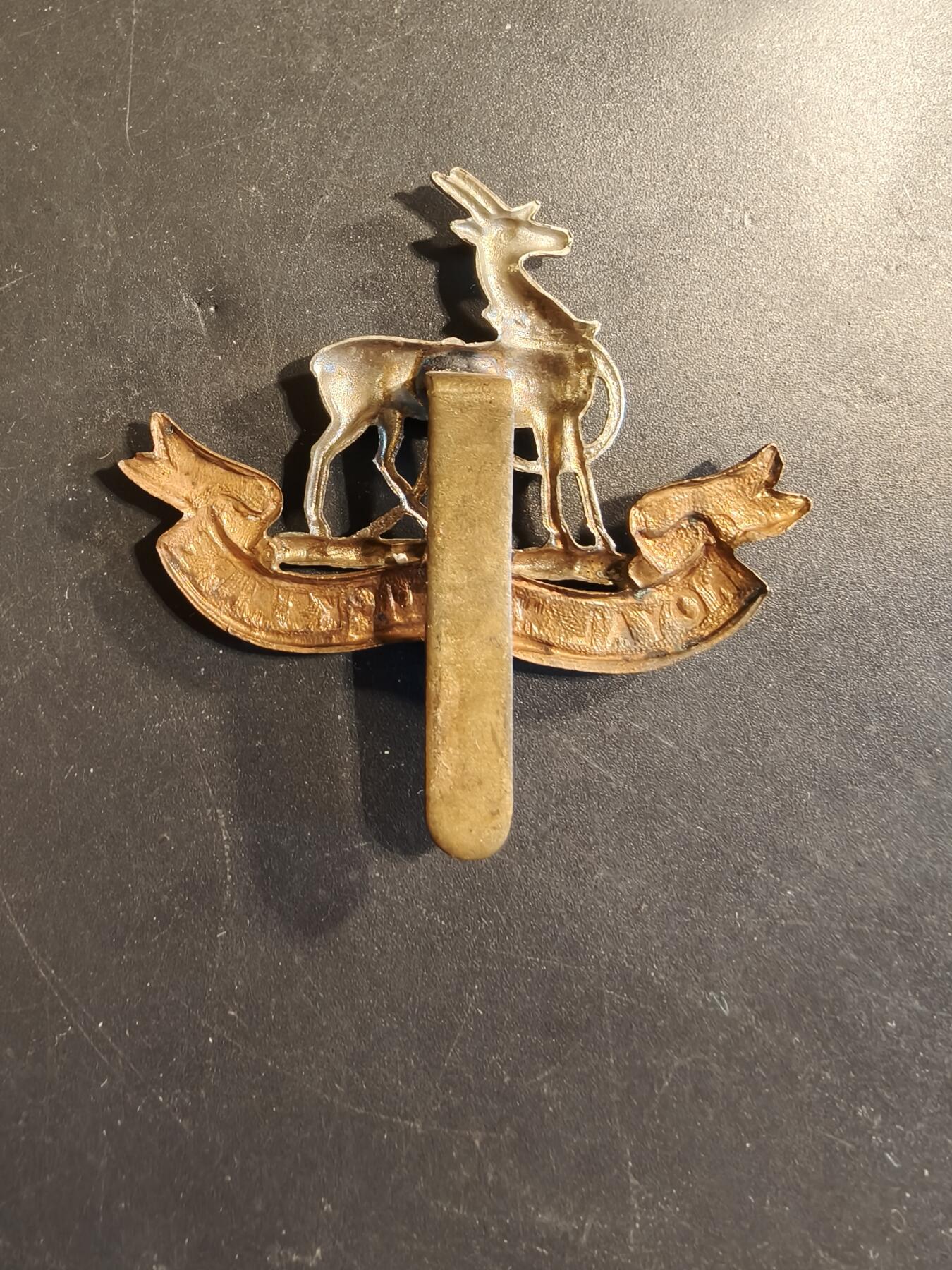 老王徽章第174期 英国皇家沃威克步兵团帽徽    一战时期