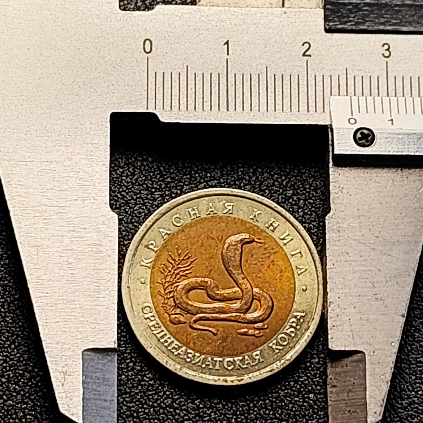 泉币菌-第163场-新年第六场 精品福利场 全网品相少见 稀少原光UNC 1992年俄罗斯10卢布双色纪念币--濒危动物--眼镜蛇 25.4×1.9mm