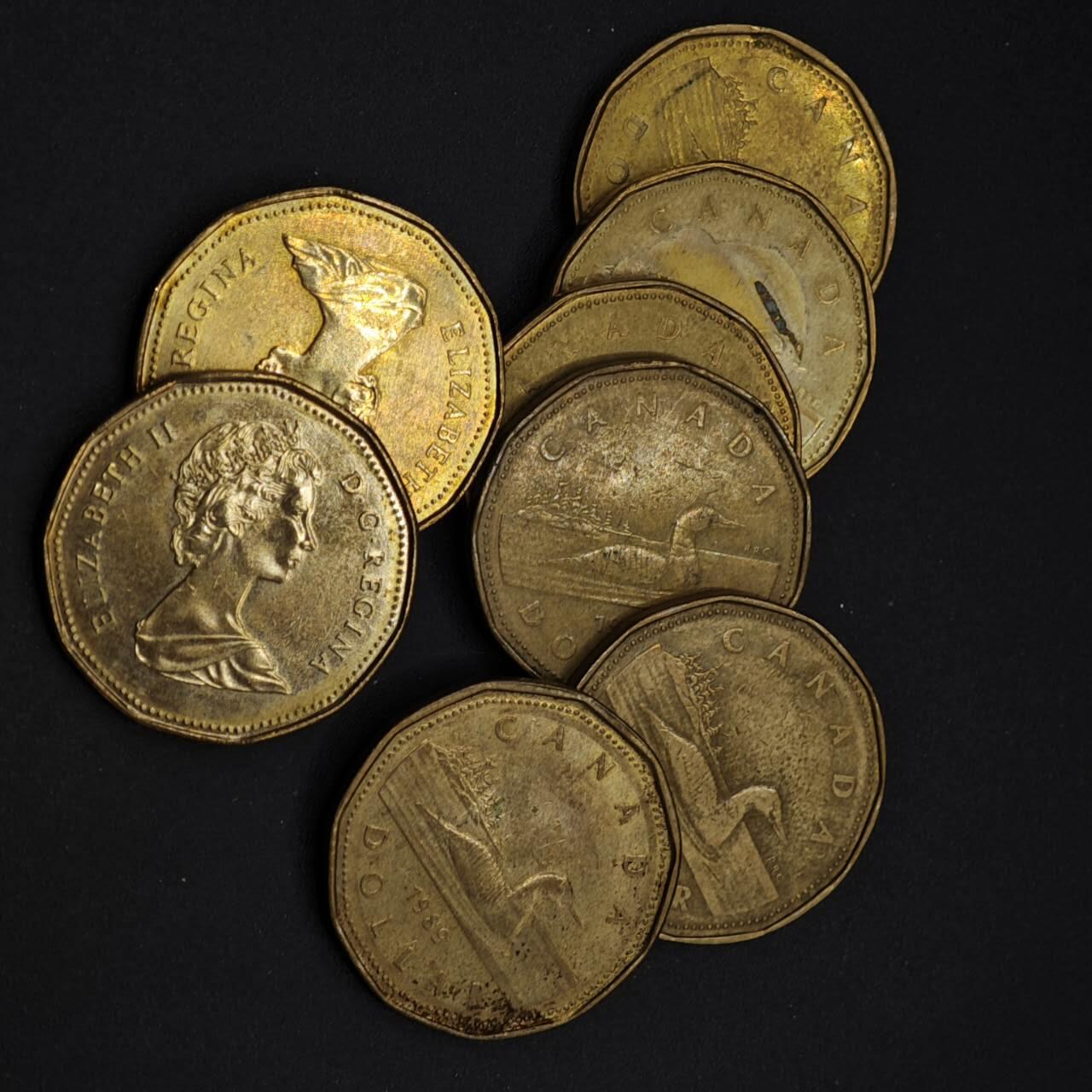 【淘币小摊】实时拍第八百四十一拍   散币批量币场   满百包邮可预留二周 每周一统一发货   加拿大一元8枚