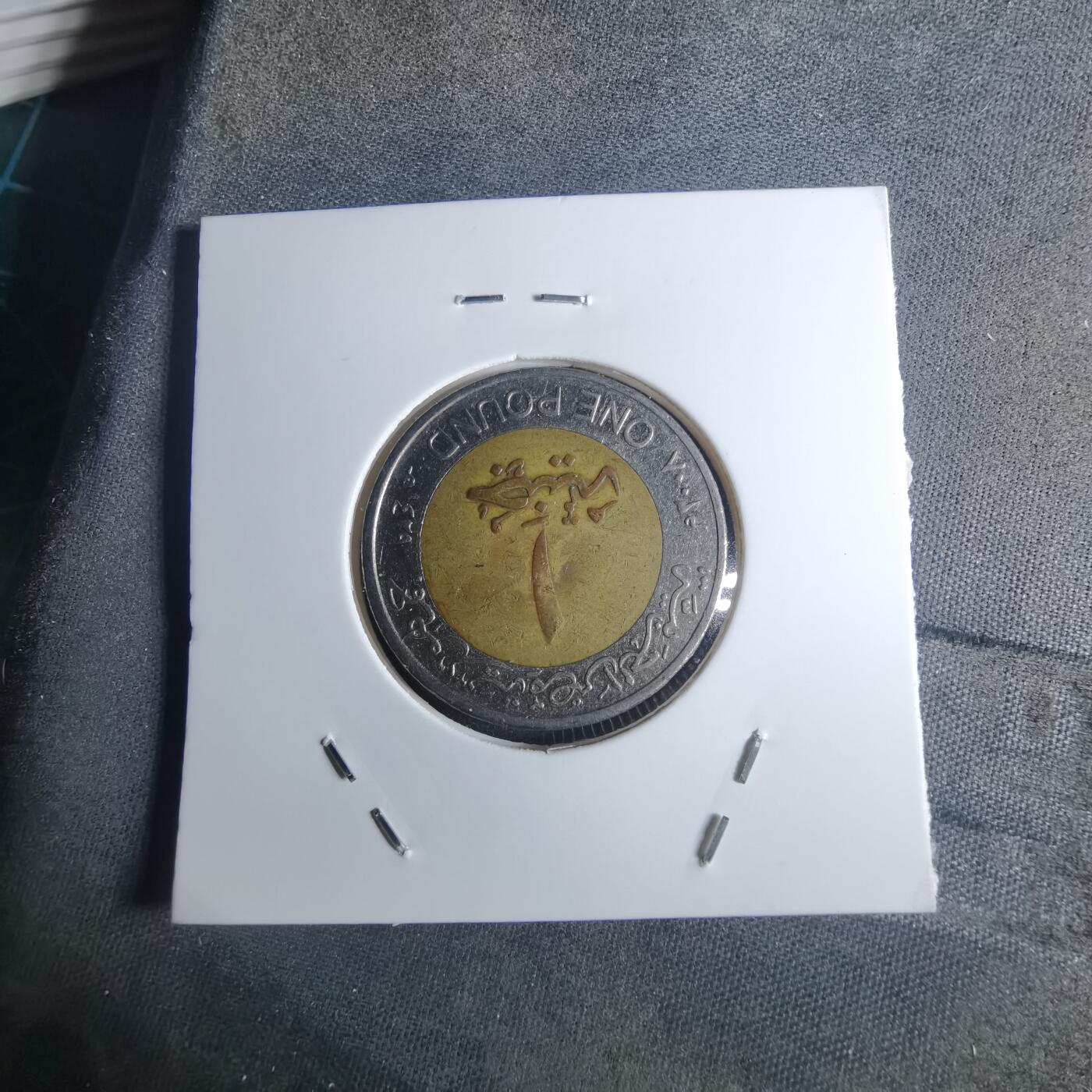 沼泽如烟--第953场 埃及