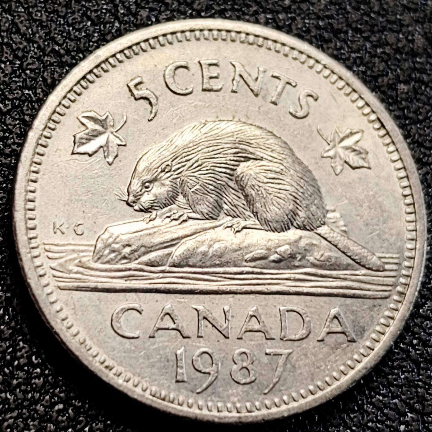 泉币菌-第163场-新年第六场 精品福利场 1987年 加拿大5分硬币 海狸 伊莉莎白.21mm 纪念币铜钱