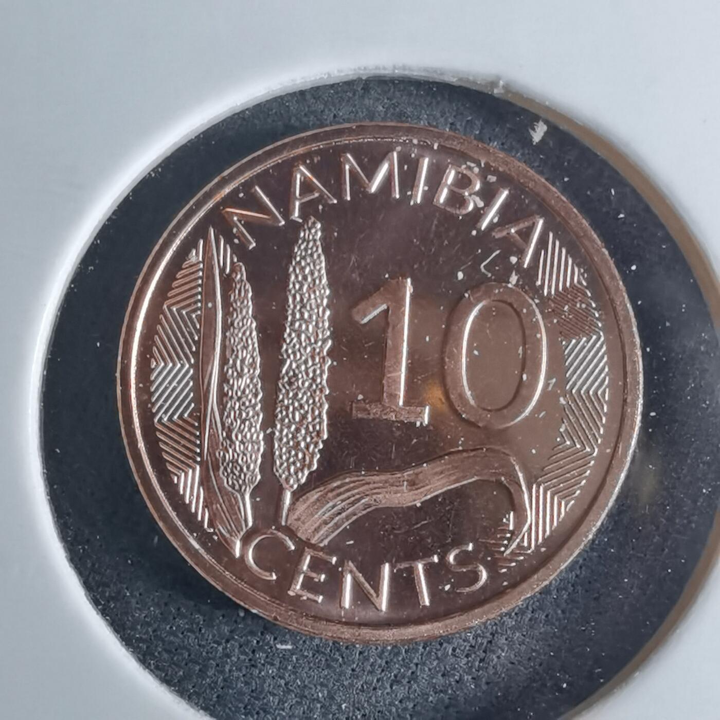 沼泽如烟--第953场 纳米比亚2025年10分