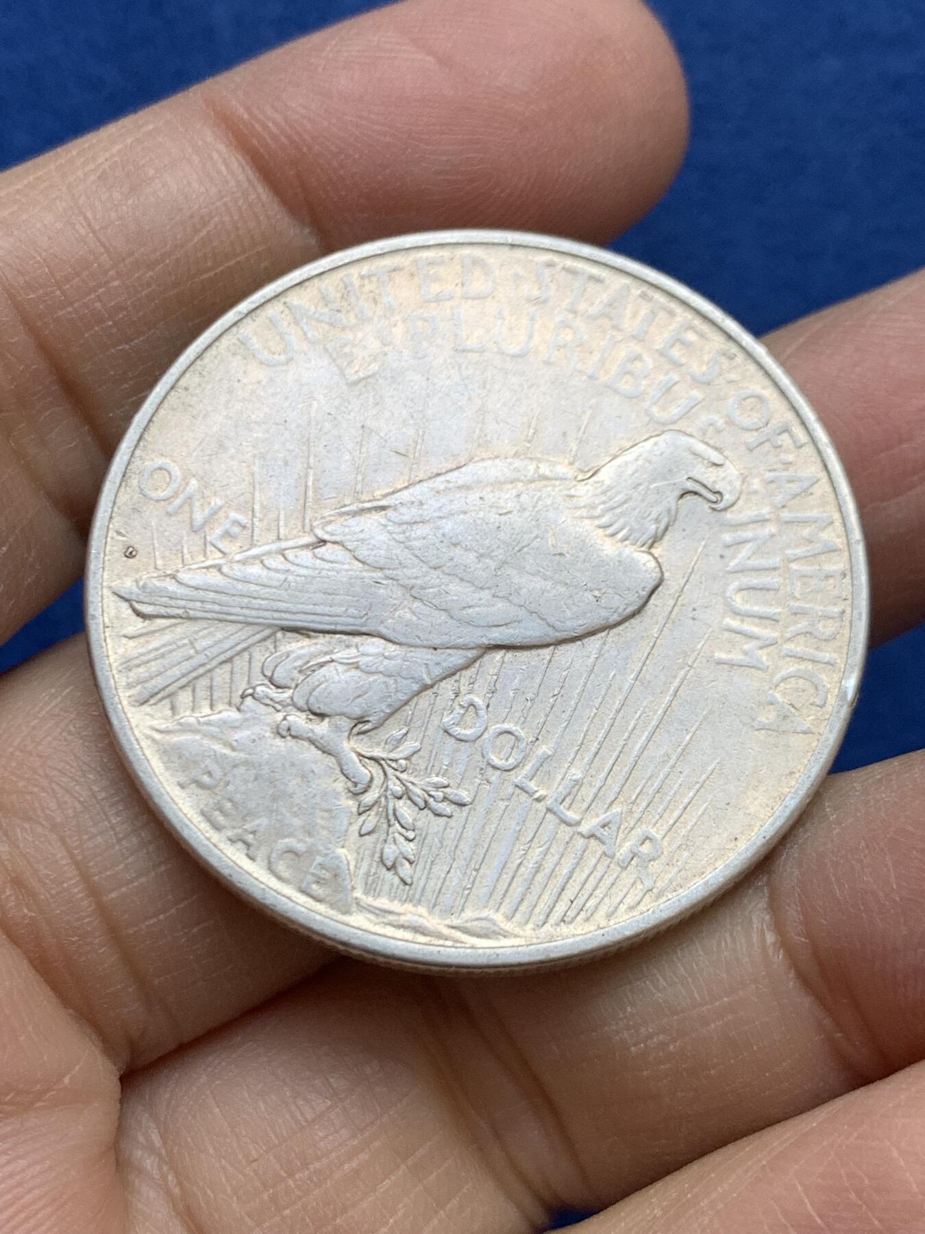 《竞宝斋》第454场 周日，周一 2场连拍 （全场包邮，欢迎送拍） 美国1922年和平大银币 正面有划痕