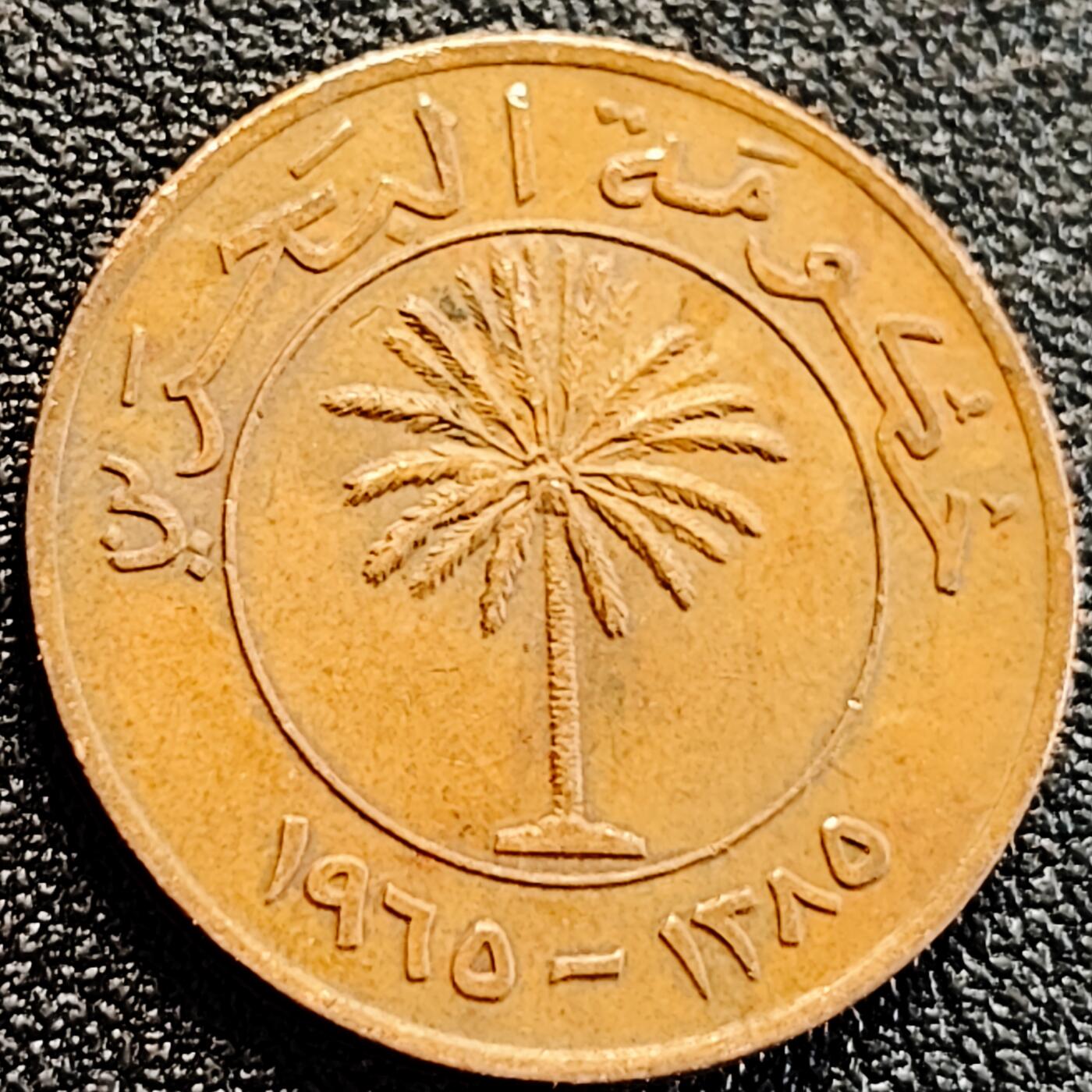 泉币菌-第163场-新年第六场 精品福利场 巴林10费尔老版铜币 23.2mm 棕榈树