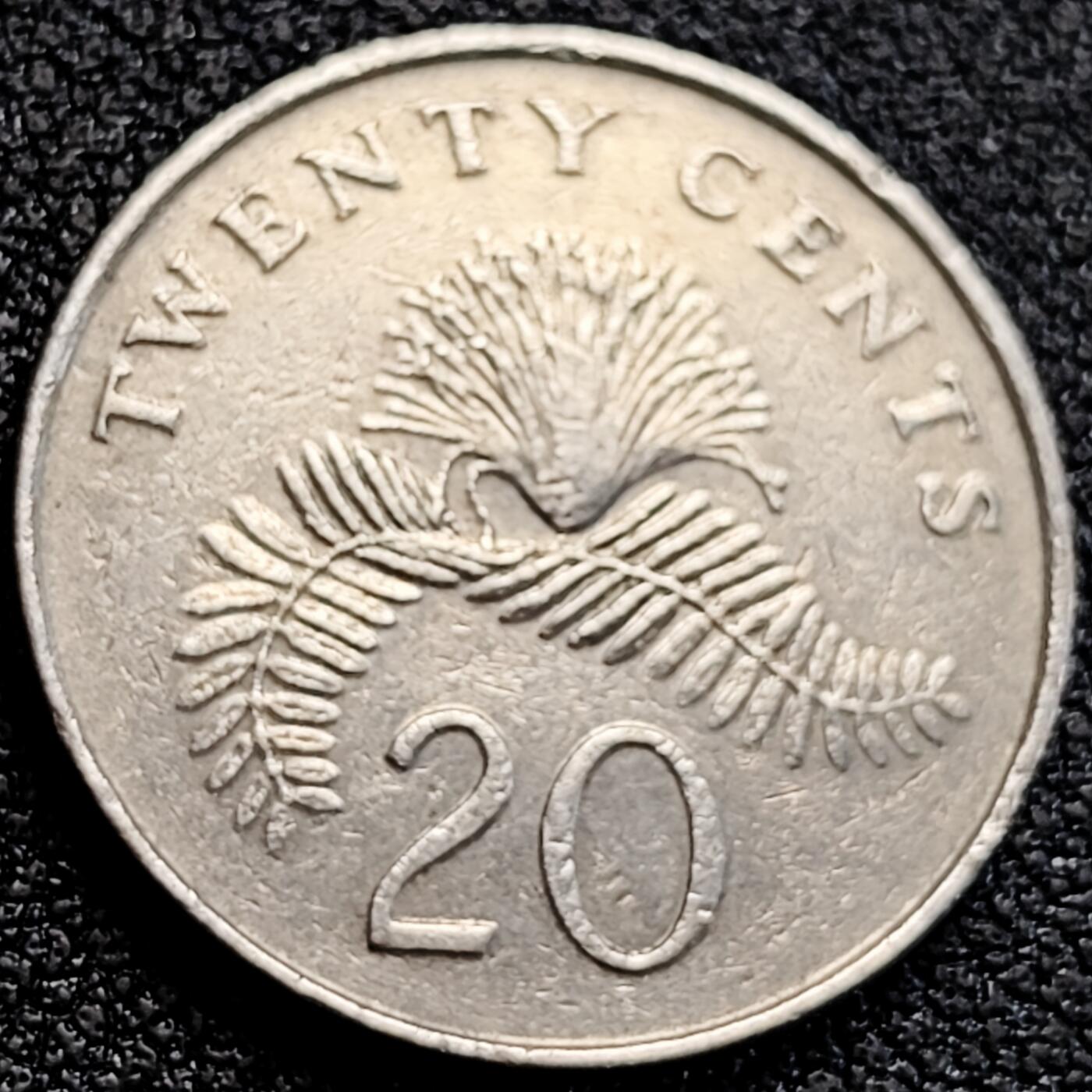 泉币菌-第163场-新年第六场 精品福利场 。