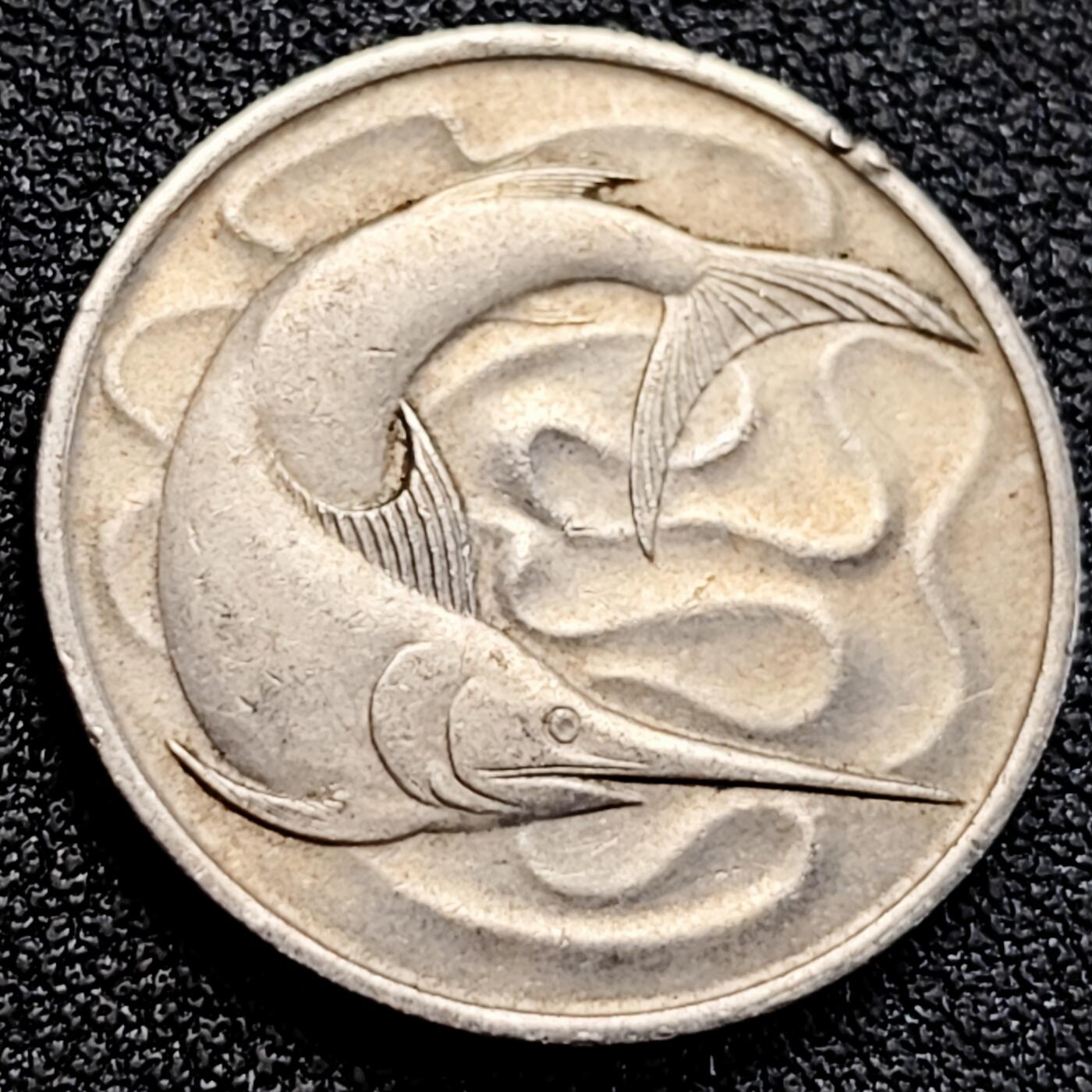 泉币菌-第163场-新年第六场 精品福利场 。