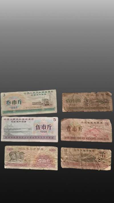 安欣票证书薇专场 - 全国粮票2张 地区粮票4张