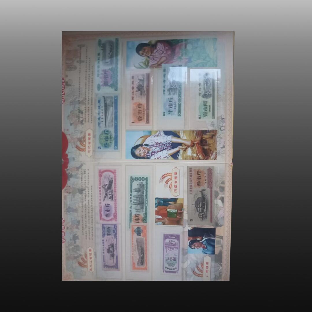 安欣票证书薇专场 《流金岁月：中华粮票票证》收藏册