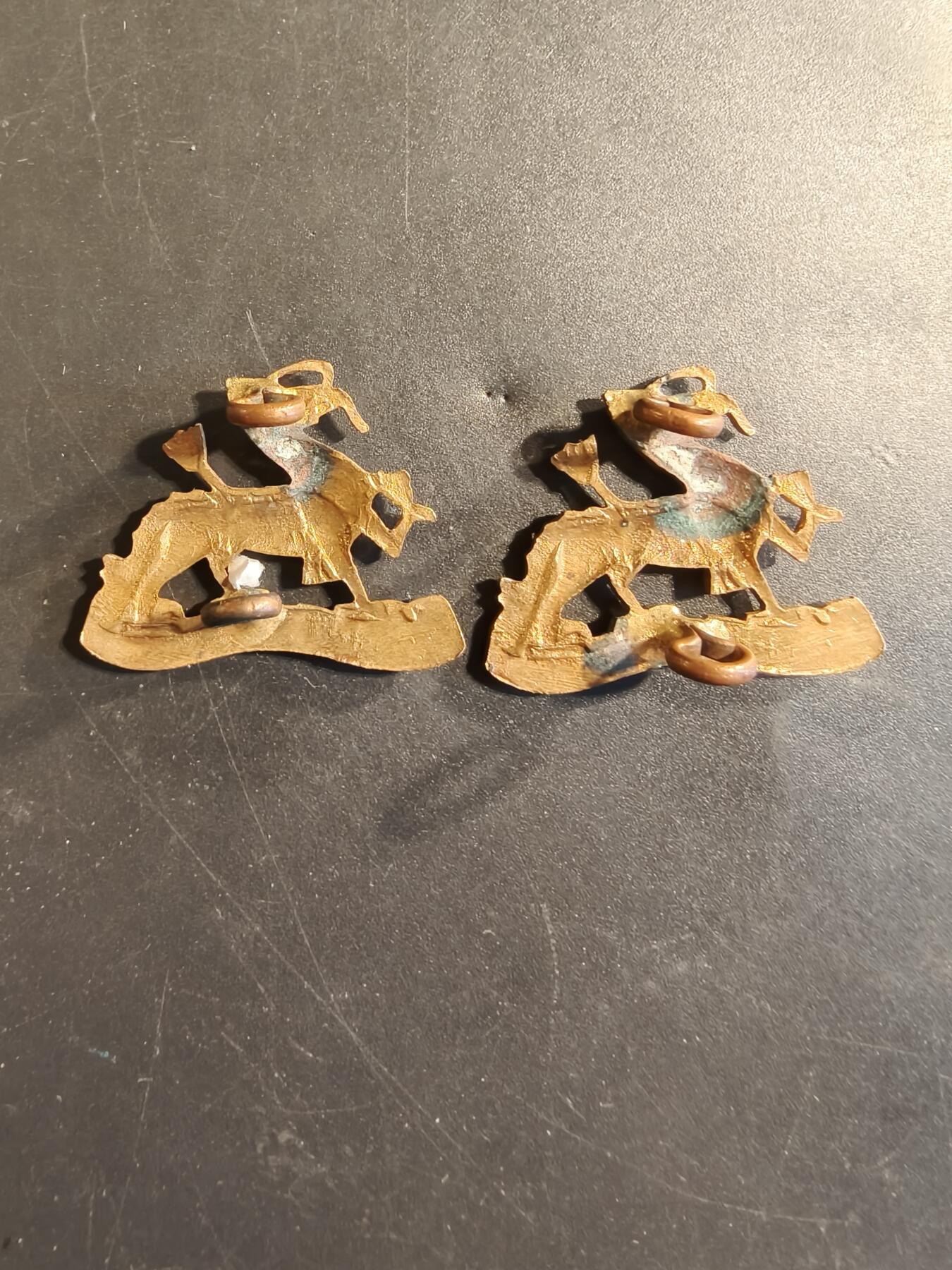 老王徽章第174期 英国皇家伯克步兵团威尔士公主夏洛特营领章一组     一战时期