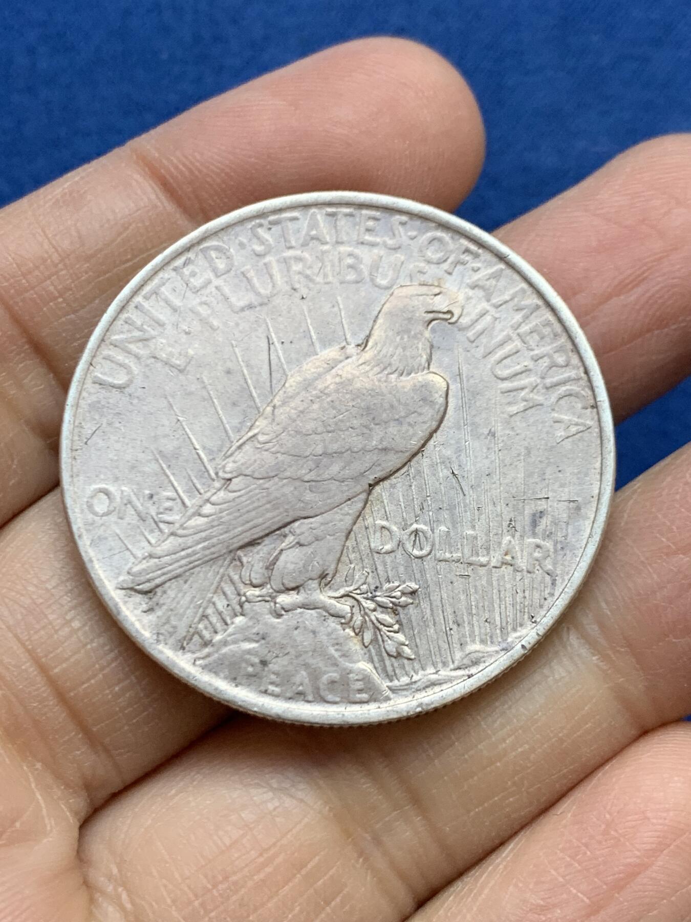 《竞宝斋》第454场 周日，周一 2场连拍 （全场包邮，欢迎送拍） 美国1923年和平1美元银元 银币 原味带底光