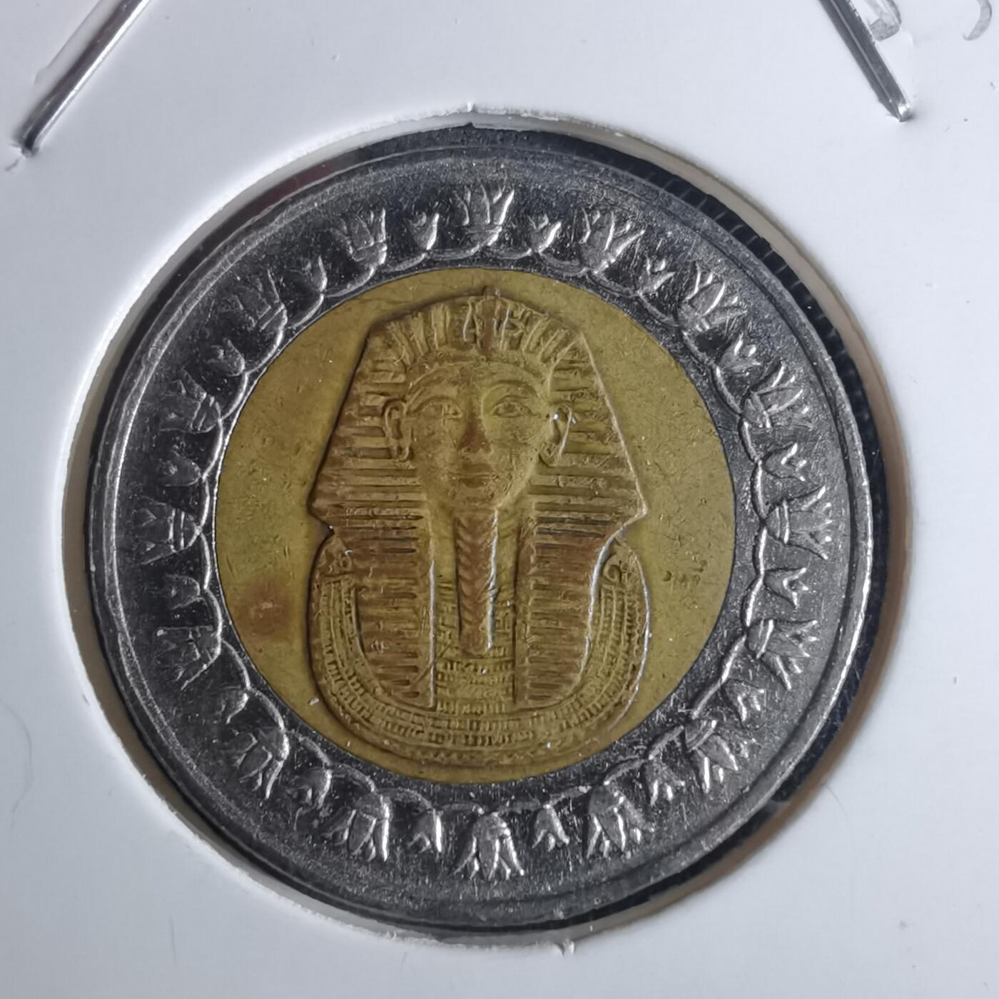 沼泽如烟--第953场 埃及