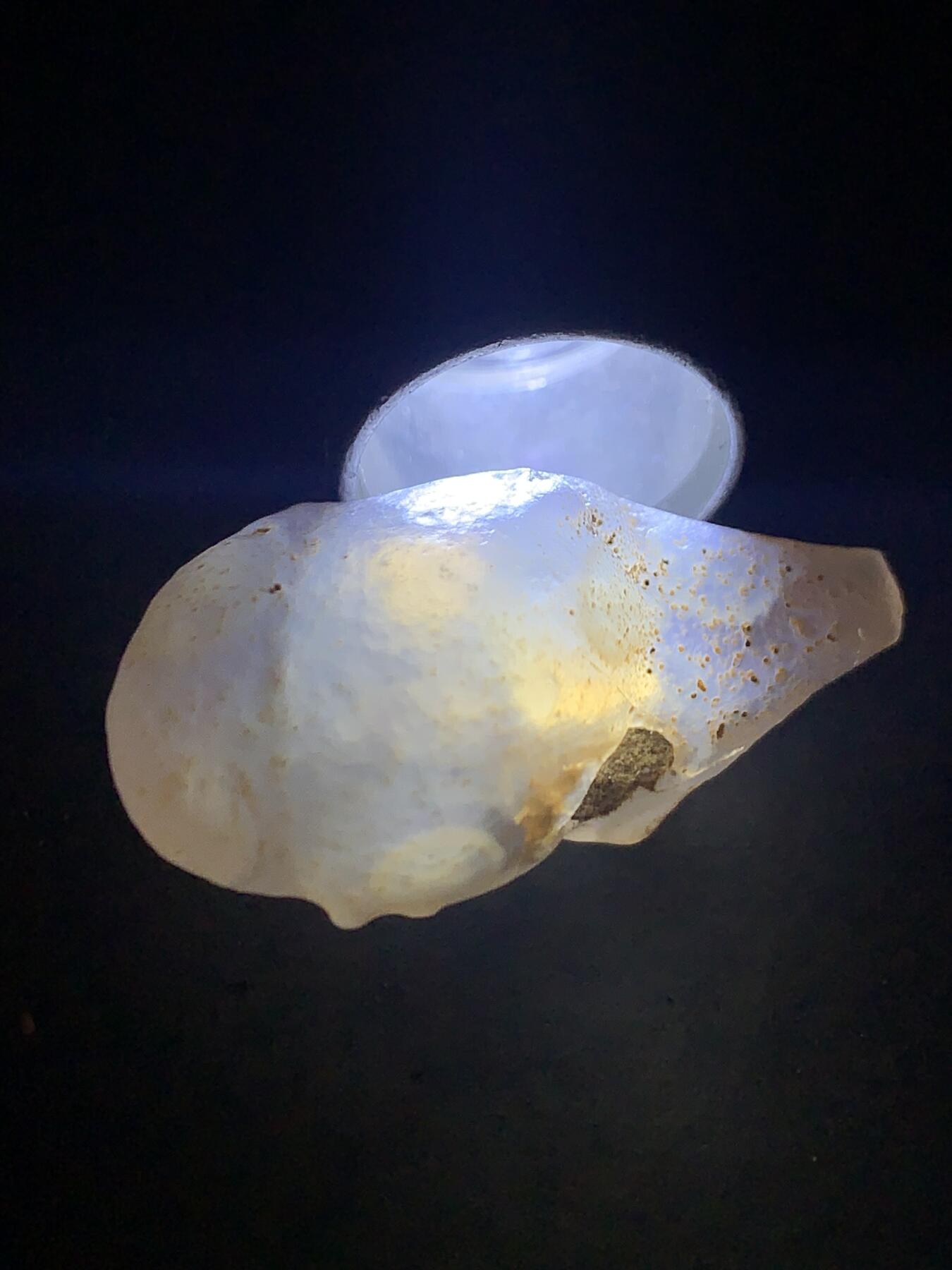 放福利！精美罕见天然孔洞戈壁阿拉善天眼纹玛瑙原石一颗，