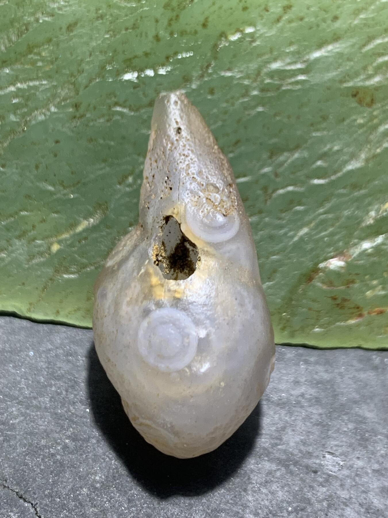 放福利！精美罕见天然孔洞戈壁阿拉善天眼纹玛瑙原石一颗，