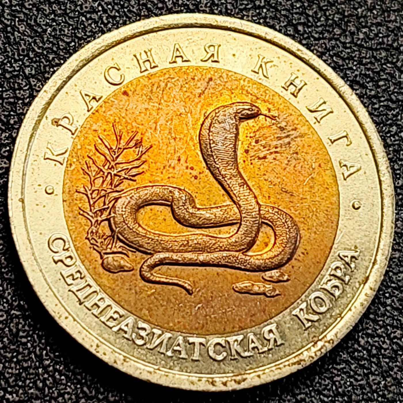 泉币菌-第163场-新年第六场 精品福利场 全网品相少见 稀少原光UNC 1992年俄罗斯10卢布双色纪念币--濒危动物--眼镜蛇 25.4×1.9mm