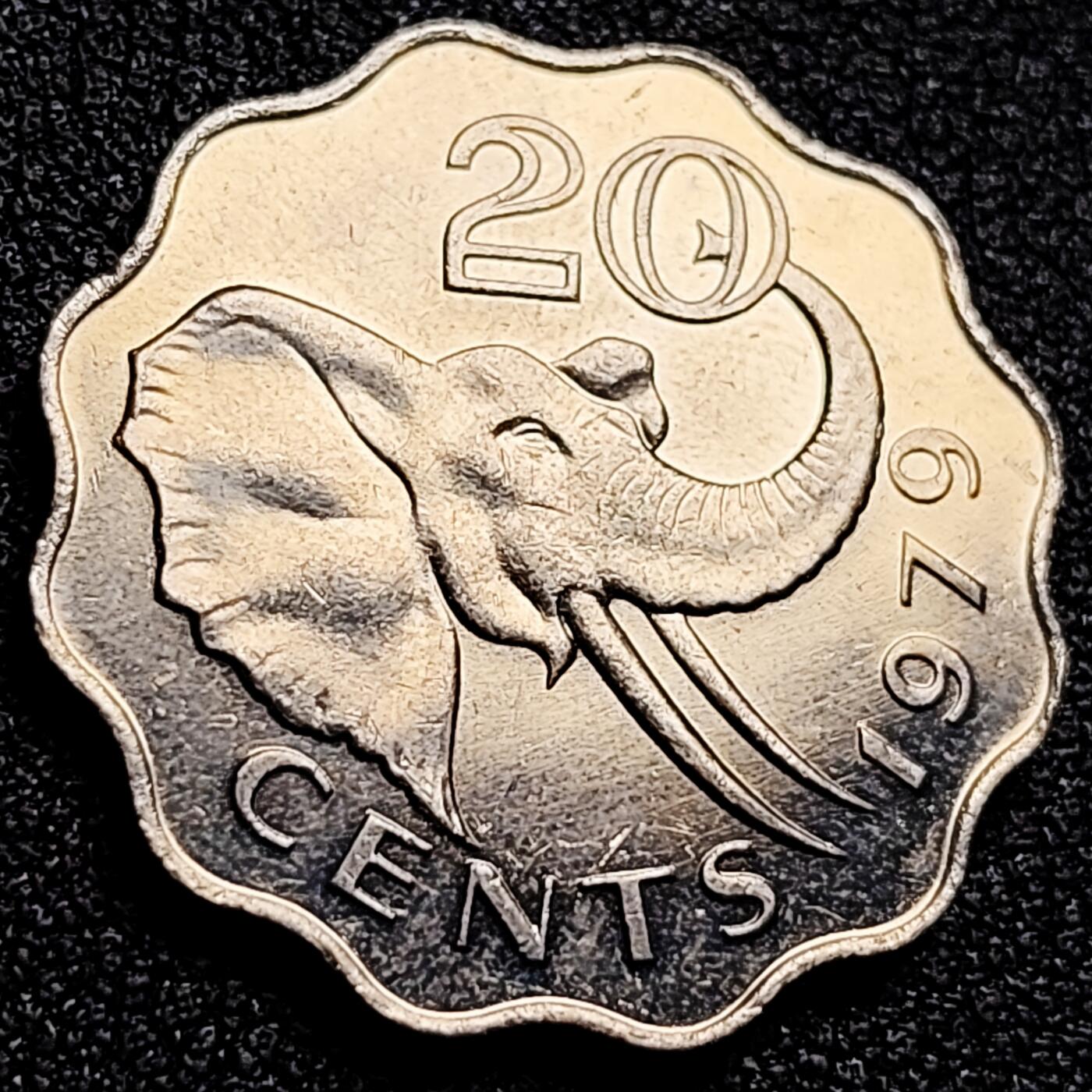 泉币菌-第165场-新年第八场 精品福利场 原光UNC 非洲-大象-斯威士兰20分-1979年-24.5mm 