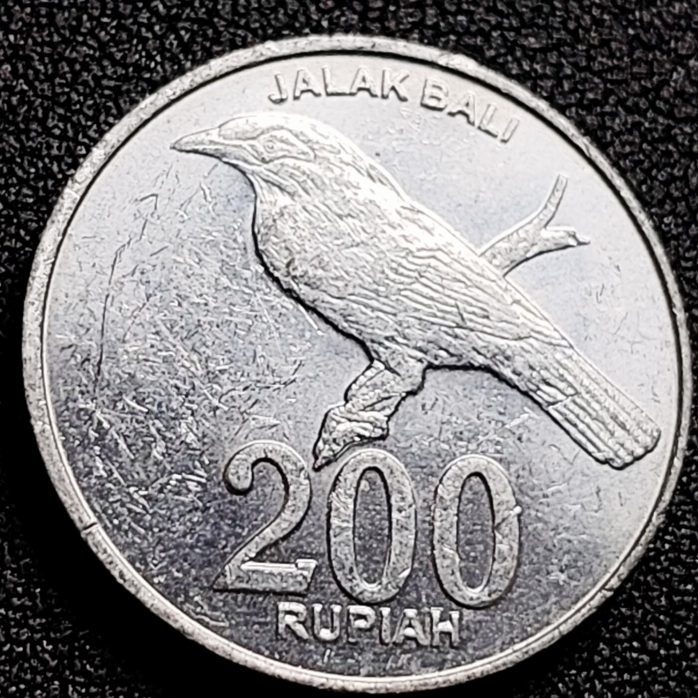 泉币菌-第165场-新年第八场 精品福利场 印度尼西亚 200巴厘岛八哥 25mm