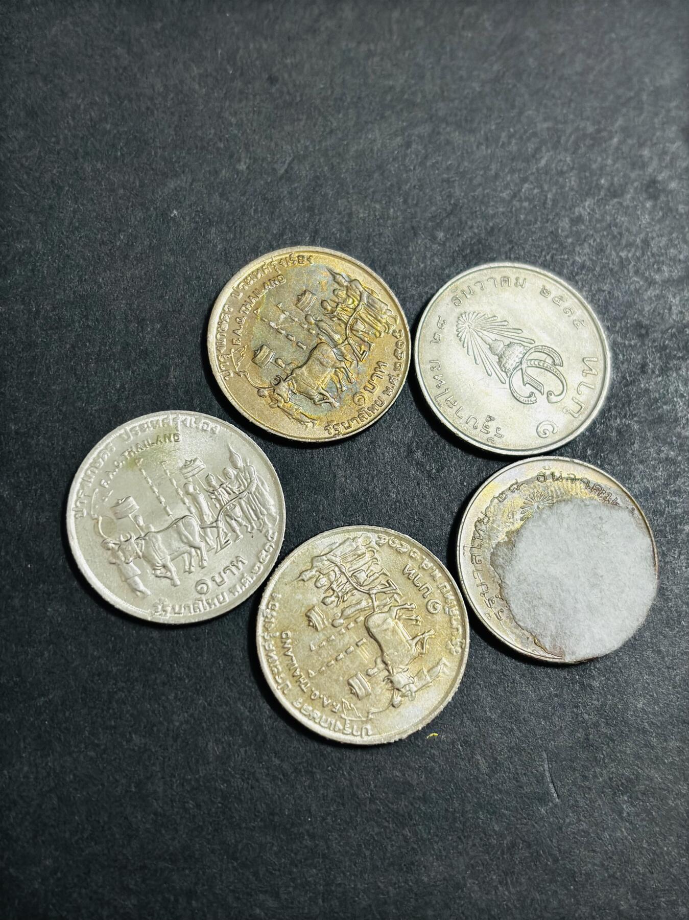 文馨钱币收藏 2026新年第二场（第 288 场）【长期接代拍品】