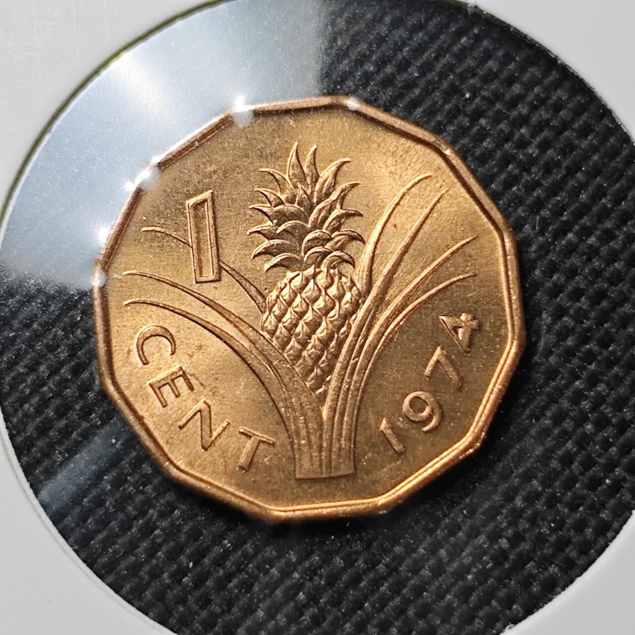 KK钱币收藏小铺  第387期  2月预留时间 周末发货  斯威士兰1分铜币 好品