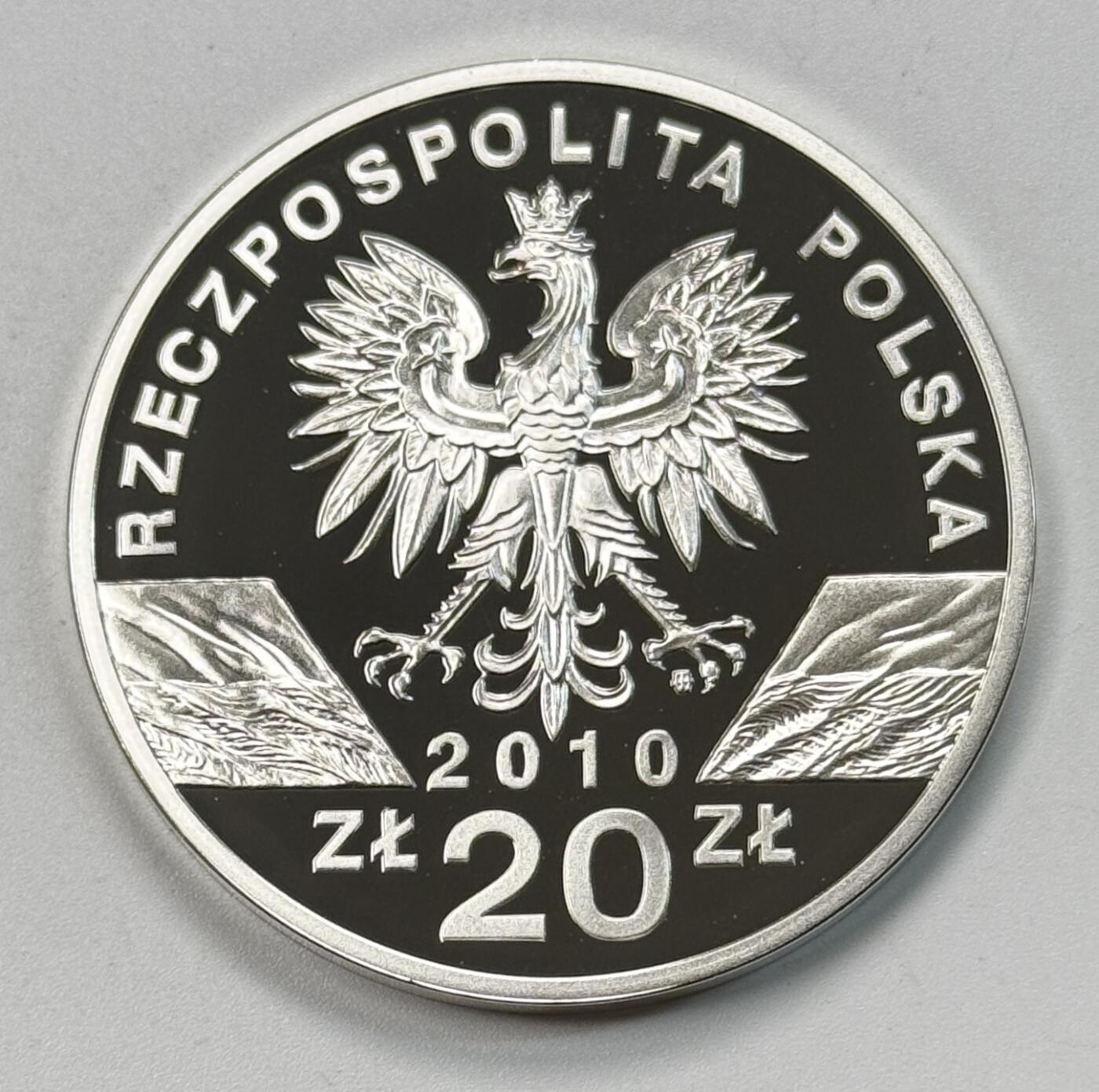 S&S Numismatic世界钱币-拍卖 第118期  波兰2010年 世界动物-小马蹄蝠 20兹罗提精制纪念银币 28.28克925银