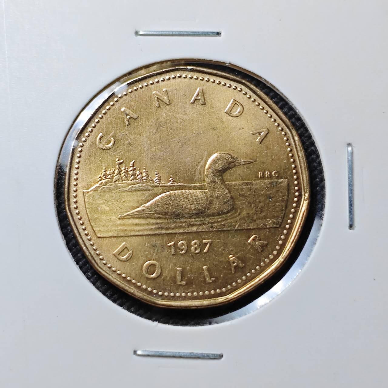 KK钱币收藏小铺  第387期  2月预留时间 周末发货  加拿大1元 好品