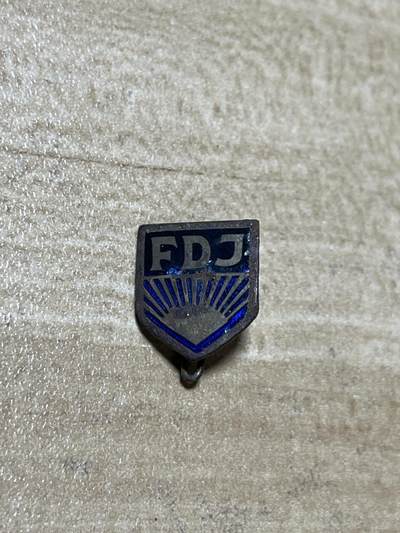 杂七杂八老徽章快拍专场 - 五十年代珐琅老徽章