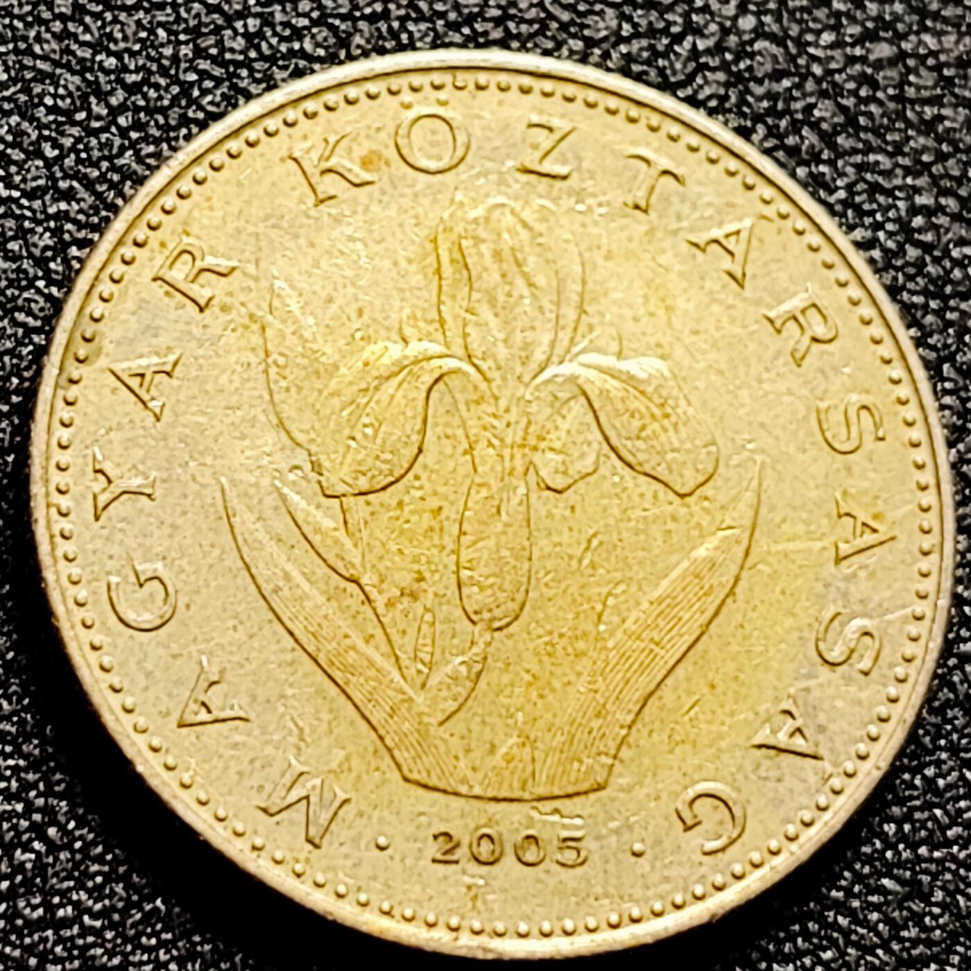 泉币菌-第165场-新年第八场 精品福利场 无叶鸢尾花 匈牙利2005年 20福林銅镍锌硬币 26.3毫米 6.9克