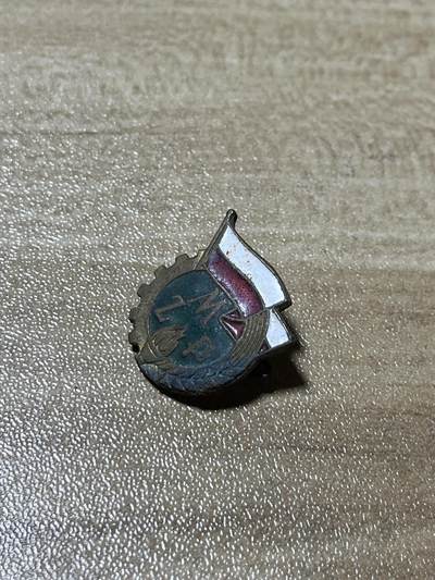 杂七杂八老徽章快拍专场 五十年代珐琅徽章