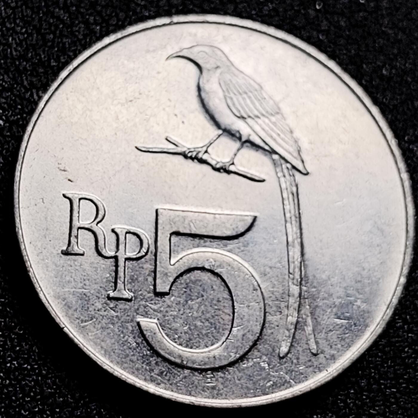 泉币菌-第165场-新年第八场 精品福利场 原光极美 印尼５卢比铝币黑卷尾 28.5ｍｍ