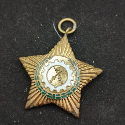 0元起拍勋章 第323期 咸鱼国勋章拍卖专场 1月7日（周三）下午6：00开始 - 缅甸徽章