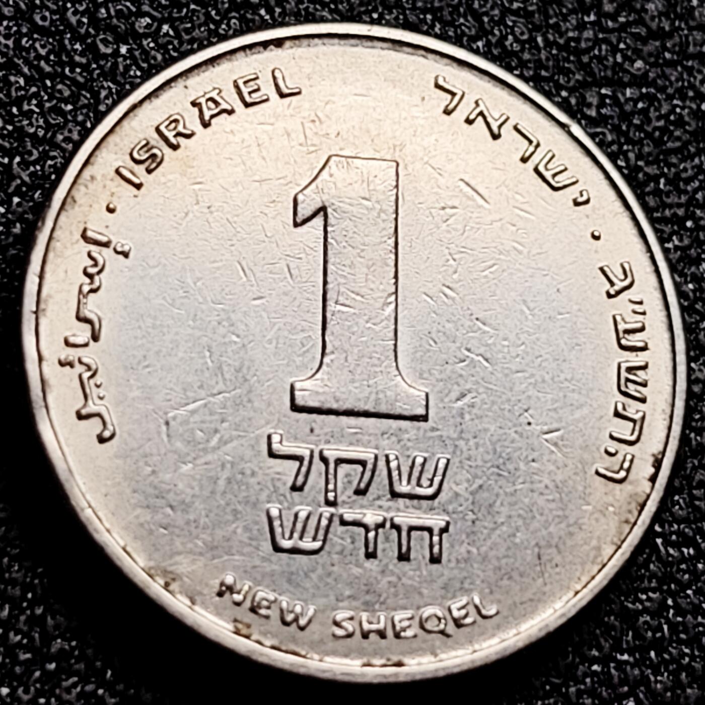 泉币菌-第165场-新年第八场 精品福利场 以色列1新谢克尔硬币 18mm