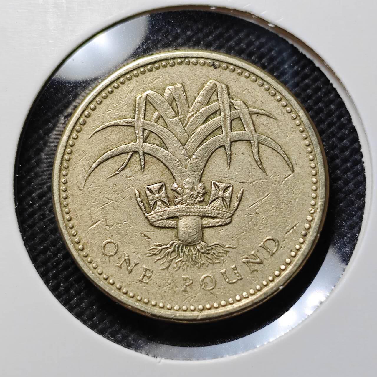 KK钱币收藏小铺  第387期  2月预留时间 周末发货  英国1镑