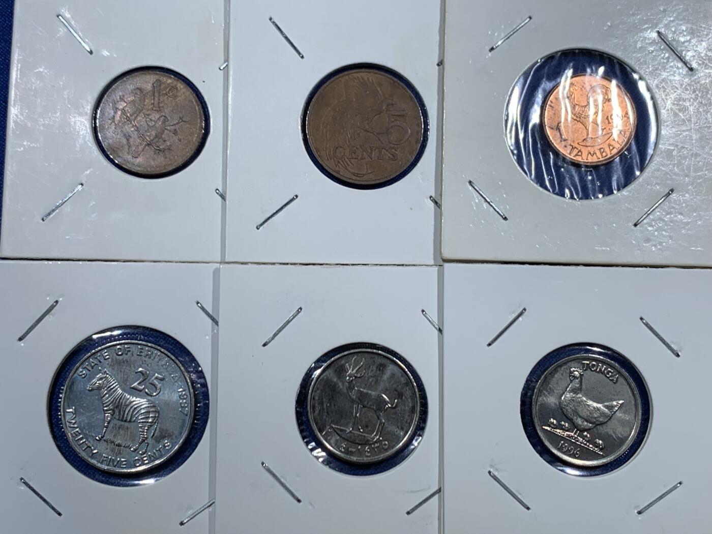 《竞宝斋》第455场 周日，周一 2场连拍 （全场包邮，欢迎送拍） 12枚一组 世界动物钱币